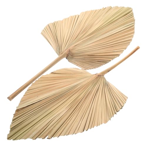 Yardenfun 2 Stück Getrocknete Palmenwedel in Herzform Natürliche Boho Deko für Hochzeit Party Wohnzimmer Stilvolle Trockenblumen Dekoration für Brautdusche und Wohnambiente Yardenfun 2 Stück Getrocknete Palmenwedel in Herzform Natürliche Boho Deko für Hochzeit Party Wohnzimmer Stilvolle Trockenblumen Dekoration für Brautdusche und Wohnambiente von Yardenfun
