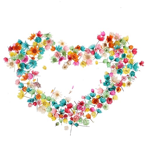 Yardenfun DIY Trockenblumen für Resin Getrocknete Blütenköpfe für Handarbeiten Schmuckdesign Scrapbooking und Kreative Projekte von Yardenfun