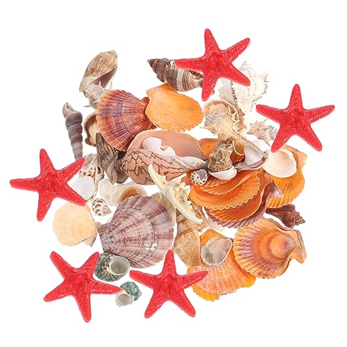 Yardenfun Natürliche Muscheln und Seeschnecken für DIY Aquarium Deko Mikrolandschaft Stranddeko Bastelmaterial mit Künstlichen Roten Seesternen für Vase Kerzen und Partygestaltung von Yardenfun