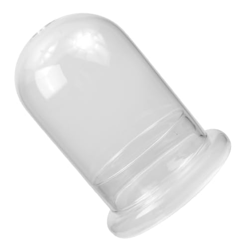 Yardenfun Transparentes DIY Micro Landscape Terrarium Glasfläschchen mit Öffnung Vielseitiger Glasbehälter für Moos und Pflanzen Dekorative für Wohn Bürodeko Yardenfun Transparentes DIY Micro Landscape Terrarium Glasfläschchen mit Öffnung Vielseitiger Glasbehälter für Moos und Pflanzen Dekorative für Wohn Bürodeko von Yardenfun