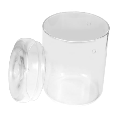 Yardenfun Transparentes Glas Terrarium Mini Landschaft Pflanzflasche mit Glatter Oberfläche DIY Ökologischer Moos behälter für Wohnzimmer Büro Tischdekoration Yardenfun Transparentes Glas Terrarium Mini Landschaft Pflanzflasche mit Glatter Oberfläche DIY Ökologischer Moos behälter für Wohnzimmer Büro Tischdekoration von Yardenfun