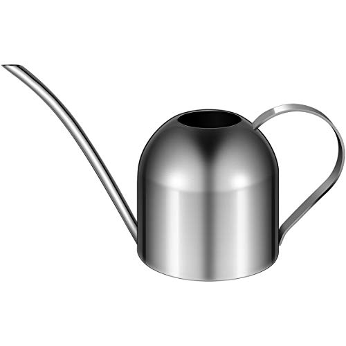 GießKanne Edelstahl 1l - Kleine GießKanne Mit Langem Auslauf FüR Zimmerpflanzen, Bonsai Und HäNgepflanzen, Innen- Und AußEnbereich, Silber von Yardwe