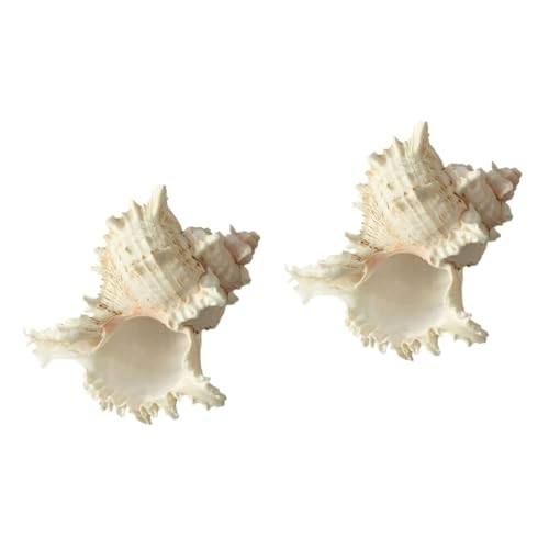 Yardwe 2 Stücke Natürliche Conch Shell Aquarium Aquarium Ornament Für Lebendige Tank Landschaftsbau von Yardwe