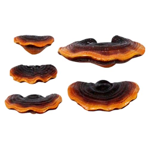 Yardwe 5st Realistischer Minipilz Realistische Pilzfiguren -Cupcake-Topper Feengarten-Accessoires Baumpilz- Feengarten-pilzfigur Gartenpilzstatue Im Freien Ornamente Miniatur Harz von Yardwe