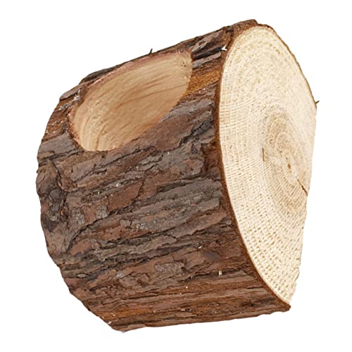 Yardwe Blumentopf Aus Holz Pflanztöpfe Aus Holzstümpfen Baum Schreibtisch Blumentopf Gartentopf Kleines Holzfass Pflanzgefäße Aus Holz Hölzern Mini Anlage Chinesische Tanne Protokoll von Yardwe