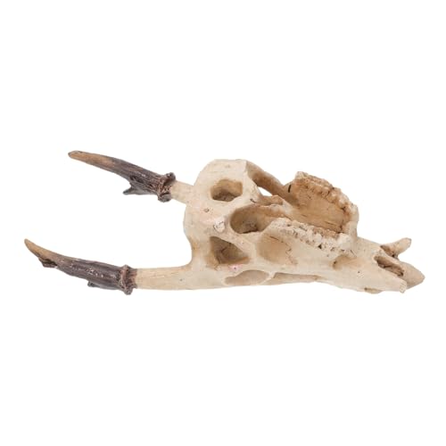 Yardwe Resin Skull Hideout für Reptilien Natürliches Versteck für Schlangen und Schildkröten Terrarium Dekoration Pflegeleicht Sicher für Aquarium und Reptilien Fördert Erkundung Yardwe Resin Skull Hideout für Reptilien Natürliches Versteck für Schlangen und Schildkröten Terrarium Dekoration Pflegeleicht Sicher für Aquarium und Reptilien Fördert Erkundung von Yardwe