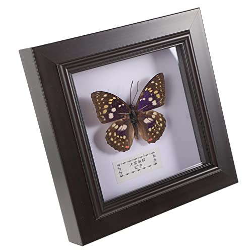 Yardwe Schmetterlings-exemplar-rahmen Handgefertigte Wanddeko Für Büro Und Zuhause Realistische Schmetterlingsdarstellung Als Stilvollen Raumgestaltung Yardwe Schmetterlings-exemplar-rahmen Handgefertigte Wanddeko Für Büro Und Zuhause Realistische Schmetterlingsdarstellung Als Stilvollen Raumgestaltung von Yardwe