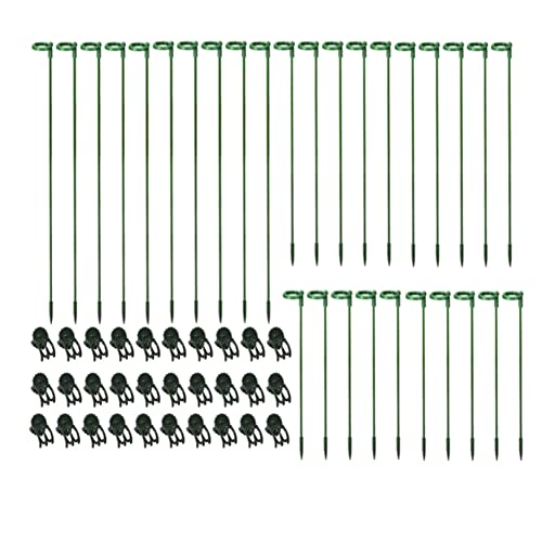 Yarryuter 30 Stk. Kunststoff-Pflanzenstützstange mit 30 Stk. Pflanzenclips, Garten-Blumenblumen-Stütze, Einzelstiel-Stützstange von Yarryuter