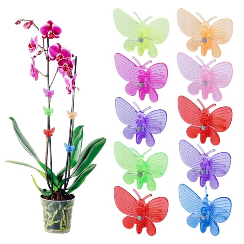 60 Stück Pflanzenclips Orchideen Klammern,Bunt Schmetterling-Form Pflanzenklammern, Garten Deko Pflanzen Clips für Tomaten, Rosen, Orchideen, Pflanzen Klammern für Unterstützen und Halten Pflanze 60 Stück Pflanzenclips Orchideen Klammern,Bunt Schmetterling-Form Pflanzenklammern, Garten Deko Pflanzen Clips für Tomaten, Rosen, Orchideen, Pflanzen Klammern für Unterstützen und Halten Pflanze von Yarteim