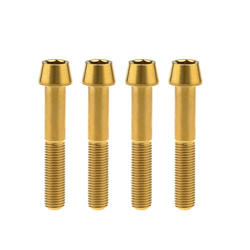 Yaruijia Titan-Bolzen, M10 x 60 mm, konische Inbusschraube, Steigung 1,25 mm, für Ducati-Motorradzubehör, 4 Stück (M10 x 60 mm, Gold) von Yaruijia