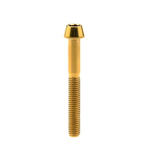 Yaruijia Titan-Bolzen M6 x 10 15 16 18 20 25 30 35 40 45 50 55 60 mm Kegelkopf Innensechskantschrauben Gr5 (M6 x 40 mm, Gold) von Yaruijia