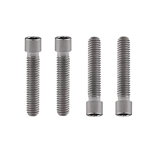 Yaruijia Titan-Schrauben, M4 x 10, 13,5, 15, 20, 25 mm, quadratische Inbusschrauben für Fahrrad-Daumenschaltung, 4 Stück (M4 x 20 mm, Titan) von Yaruijia