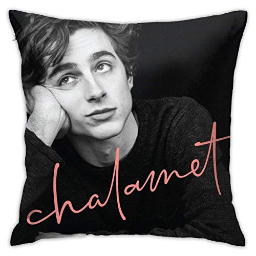 Yaxinduobao Chalamet Awesome Merch von Timothee Chalamet Schlafzimmer Couch Sofa Quadratische Kissenbezüge Home Decor Throw Kissenbezüge 18x18 Zoll von Yaxinduobao