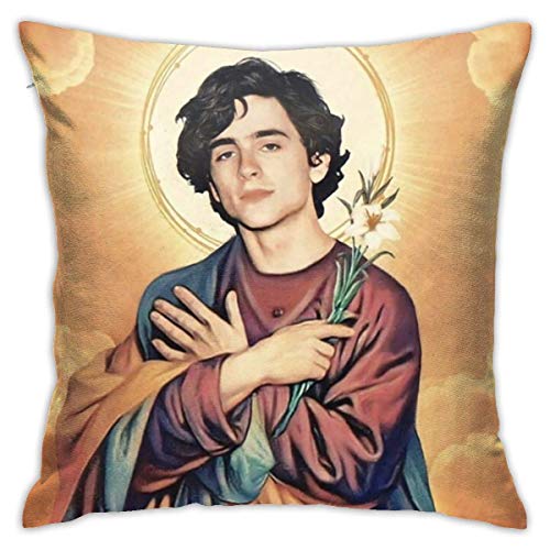 Yaxinduobao Euro dekorative Kissenbezüge, Summer Home Decor Kissenbezug, amerikanische Schauspieler Timothee Chalamet Gemütliche Kissenbezug abnehmbar für Wohnzimmer Party 18x18 Zoll von Yaxinduobao