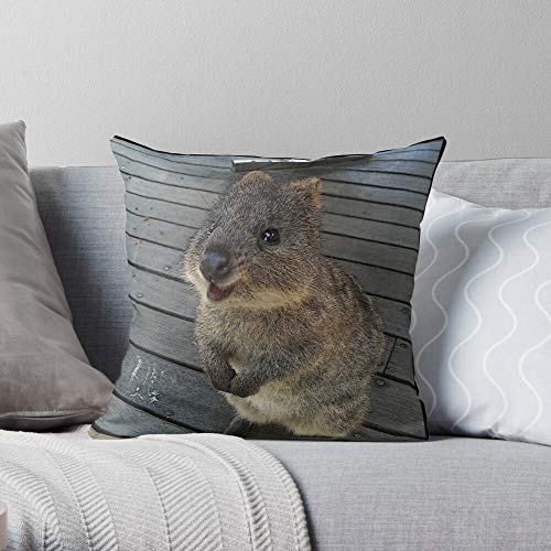 Yaxinduobao Island Quoka Tier, Perth Quokka, niedliches wundervolles Rottnest Australien-Tier – quadratische Form, dekoratives Kissen für den Innenbereich, personalisierbar Yaxinduobao Island Quoka Tier, Perth Quokka, niedliches wundervolles Rottnest Australien-Tier – quadratische Form, dekoratives Kissen für den Innenbereich, personalisierbar von Yaxinduobao