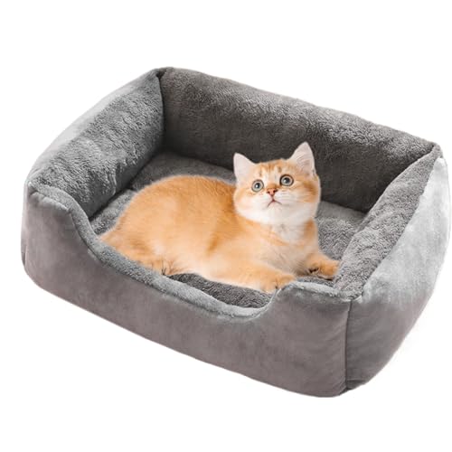 Yaztauho Katzenbett | Sofa Hundebett für Welpen und kleine Hunde - Haustier Kuschelsofa für Balkon, Innenbereich, Außenbereich, Schlafzimmer und Zwinger von Yaztauho