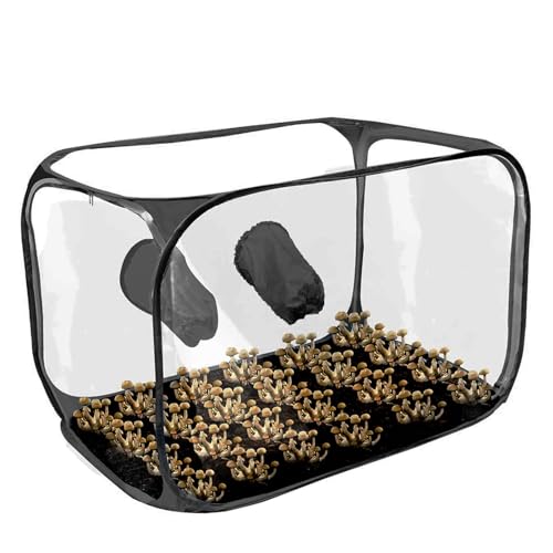 Yaztauho Pilzzuchtzelt, Pilzzuchtbox | Transparentes Pilz-Zelt-Set - Pilzzuchtbeutel, Gartenbaubedarf, Pop-up-Design, Faltbare Wachstumsbehälter von Yaztauho