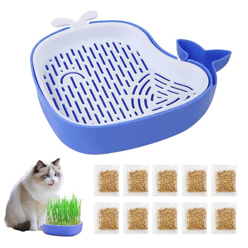 150g Katzengras Samen, Katzengras Samen Bio, Hydro Katzengras Samen, mit Keimschale, Hydroponische Katzengrassamen für den Innenbereich, Schaffen Sie Einen Weichen Bio-Rasen für Katzen von Ycaaeo
