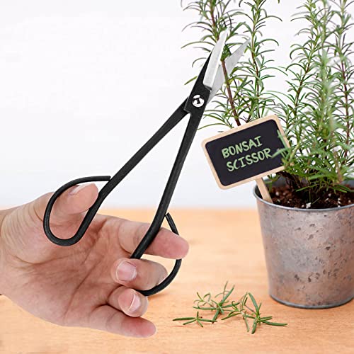 Yctze 190 -mm -Edelstahl Bonsai Schere Präzisions Trimmschere für Ast und Wurzelbeschneiden, Ergonomischer Griff für Beschneidungsliebhaber von Yctze