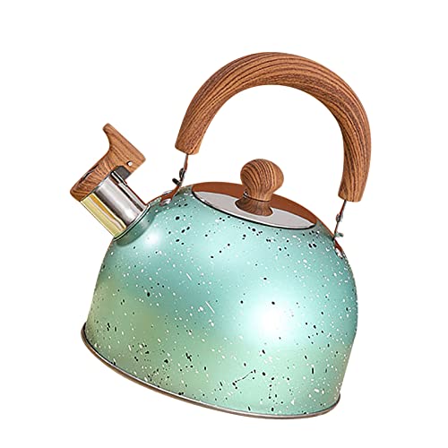 Yctze Edelstahlkessel mit Pfeife - Große 2 -L Kapazitäts Flachboden Konstruktion für Induktionsgaskocher für Zuhause und Büro (GREEN) von Yctze