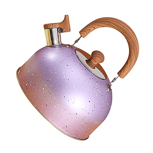 Yctze Edelstahlkessel mit Pfeife - Große 2 -L Kapazitäts Flachboden Konstruktion für Induktionsgaskocher für Zuhause und Büro (PURPLE) von Yctze