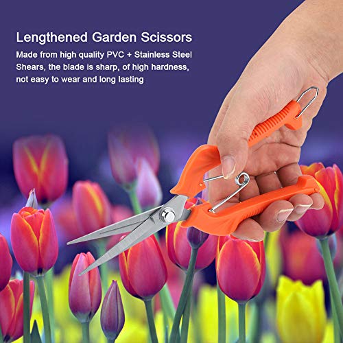 Yctze Orange Robuste Obstbaumbonsai -Schnittschere - Verlängerte Gartenschere für Müheloses Trimmen und Ernte Yctze Orange Robuste Obstbaumbonsai -Schnittschere - Verlängerte Gartenschere für Müheloses Trimmen und Ernte von Yctze