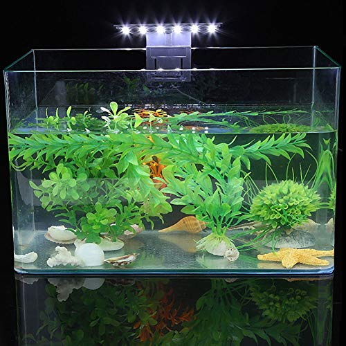 Yctze Schlanke LED-Aquariumleuchte mit Wasserdichter Klemmlampe, Ideal für Pflanzen und Aquarien, 6 W USB-betrieben mit Timer, Aquarium-Beleuchtungswürfel für 30 Cm Große Aquarien Yctze Schlanke LED-Aquariumleuchte mit Wasserdichter Klemmlampe, Ideal für Pflanzen und Aquarien, 6 W USB-betrieben mit Timer, Aquarium-Beleuchtungswürfel für 30 Cm Große Aquarien von Yctze