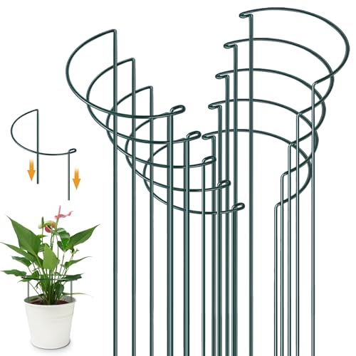 YeahBoom 10 Stück Pflanzenstützen Halbrund Pflanzenstütze Ringkäfige,40x25cm Pflanzenringe Rund,Pflanzenhalter Metall,Staudenhalter,Pflanzenstütze für Topfpflanzen, Tomaten, Gemüse, Rose, Pfingstrose von YeahBoom