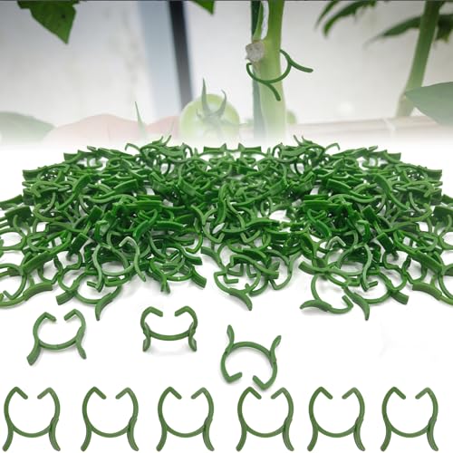 YeahBoom 300 Stück Pflanzenclips,Tomatenclips Verbinden,Kunststoff Tomatenclips,Pflanzenklammern,Ranken Clips,Pflanzen Sicherung,Tomatenclips Verbinden Pfeffer Gurke Reben Ideal,für Pflanzen Sicherung YeahBoom 300 Stück Pflanzenclips,Tomatenclips Verbinden,Kunststoff Tomatenclips,Pflanzenklammern,Ranken Clips,Pflanzen Sicherung,Tomatenclips Verbinden Pfeffer Gurke Reben Ideal,für Pflanzen Sicherung von YeahBoom
