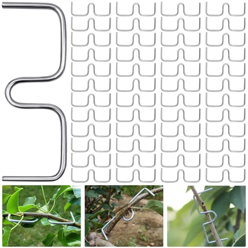 YeahBoom 48PCS 10cm Aststütze für Obstbäume,Spreizeraststütze für Obstbäume,Astspreizer für Obstbäume Metall,Astzieher Halter für Obstzweige,M Förmiger Astspreizer,Astklammern Metall für Gartenzweige YeahBoom 48PCS 10cm Aststütze für Obstbäume,Spreizeraststütze für Obstbäume,Astspreizer für Obstbäume Metall,Astzieher Halter für Obstzweige,M Förmiger Astspreizer,Astklammern Metall für Gartenzweige von YeahBoom