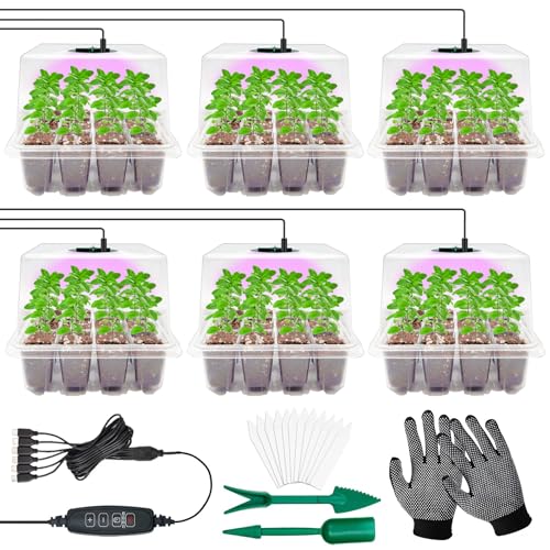 YeahBoom Zimmergewächshaus Anzuchtkasten,6 Stück Zellen Mini Gewächshaus Anzucht Set,Timing-Controller einstellbare Helligkeit,Mini Gewächshaus Anzuchtkasten zum Anzüchten mit Pflanzlampe und Deckel von YeahBoom