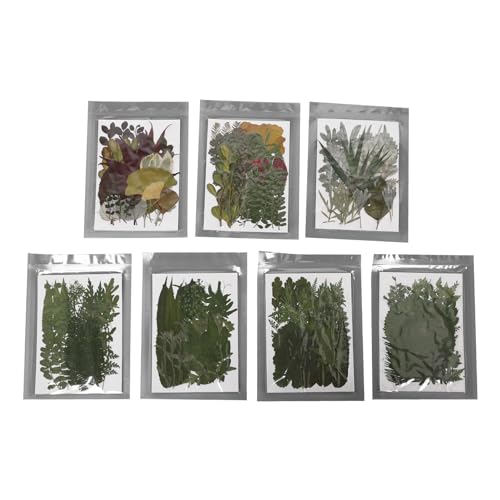 Yechiry Real Getrocknete Blumen, Pflanzen Kit mit DIY Kit, Vielseitige Verwendung, Exquisite Verpackung für Harz Telefonkoffer, Farbenfrohe Glas, Lesezeichen, Seifenherstellung Yechiry Real Getrocknete Blumen, Pflanzen Kit mit DIY Kit, Vielseitige Verwendung, Exquisite Verpackung für Harz Telefonkoffer, Farbenfrohe Glas, Lesezeichen, Seifenherstellung von Yechiry