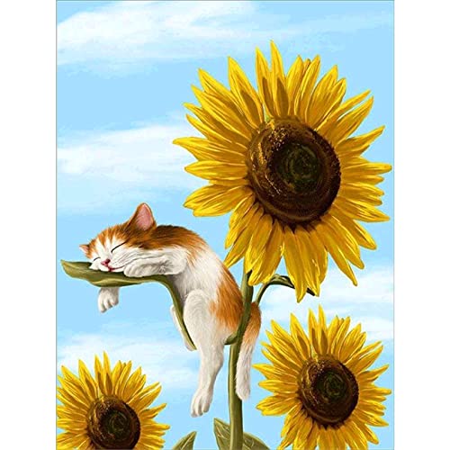 5D Diamond Painting Set Sonnenblumen-Blumen-Katze,Diamant Painting Bilder Kit DIY Malen nach Zahlen Erwachsene Stickerei Kreuzstich Voll Strass Diamant Kunst Handwerk für Home Wand-Decor 30x50cm von Yeecer