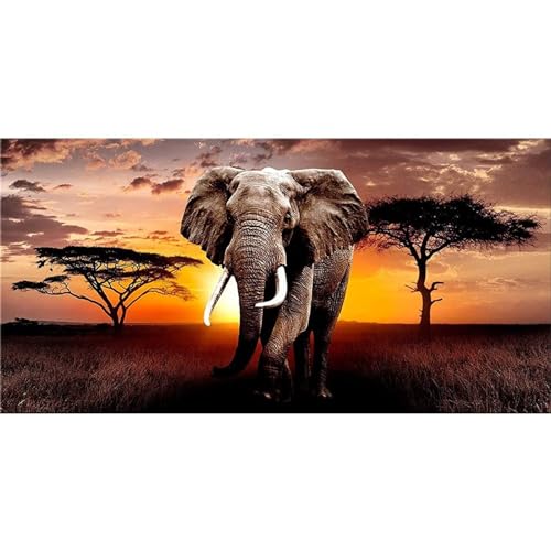 Diamond Painting für Erwachsene Kinder,Grasland Sonnenuntergang Elefant 5D DIY Diamant Painting Bilder Set Full Drill Stickerei Kreuzstich Diamant Malerei Schlafzimmer Wand Dekor Rundbohrer,30x60cm von Yeecer