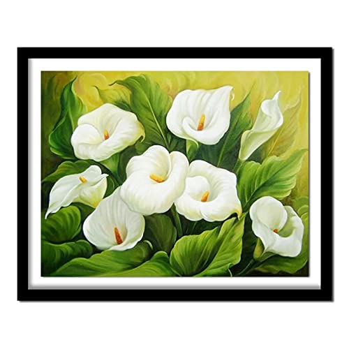 Yeecer 5D Diamond Painting Set,Calla-Lilien-Blumen Diamant Painting Bilder Kit DIY Erwachsene Stickerei Kreuzstich Voll Strass Kristall Diamant Kunst Handwerk für Home Wand-Decor Round Drill,70x90cm von Yeecer