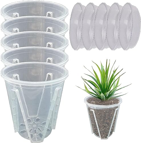 5 Stück Orchideentopf Kunststoff Orchideen Pflanztöpfe Orchideentöpfe mit Abflusslöchern Und Untertassen, Anzuchttöpfe Geschlitzter Blumentopf für Indoor Outdoor Garden Balkon (10cm mit Tablett) 5 Stück Orchideentopf Kunststoff Orchideen Pflanztöpfe Orchideentöpfe mit Abflusslöchern Und Untertassen, Anzuchttöpfe Geschlitzter Blumentopf für Indoor Outdoor Garden Balkon (10cm mit Tablett) von Yeehliny
