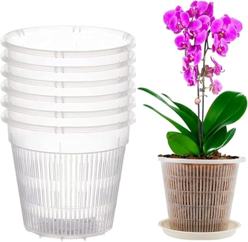 6 Stück Orchideentopf Transparente Orchideentöpfe zum Umtopfen Orchideen Pflanztöpfe mit Schlitzen Kunststoff Atmungsaktiv Anzuchttöpfe Blumentöpfe Umtopftopf für Drinnen und Draußen (16CM&Tablett) von Yeehliny