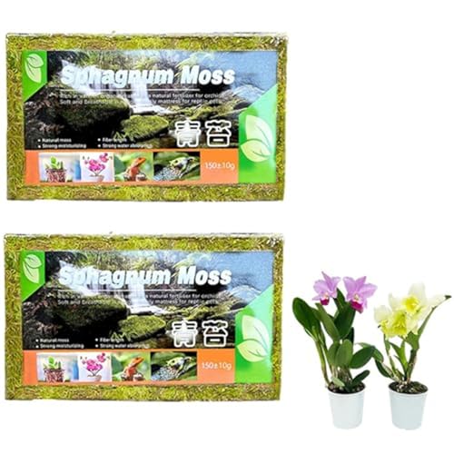 Sphagnum Moos für Pflanzen Orchideen Terrarium Blumenerde Zimmerpflanzen und Reptilien, 150g Torfmoos Terrarienmoos Peat Moss Spagnummoos Natürliches Terrarien Substrat für Orchideen Moos (2 stück) Sphagnum Moos für Pflanzen Orchideen Terrarium Blumenerde Zimmerpflanzen und Reptilien, 150g Torfmoos Terrarienmoos Peat Moss Spagnummoos Natürliches Terrarien Substrat für Orchideen Moos (2 stück) von Yeehliny