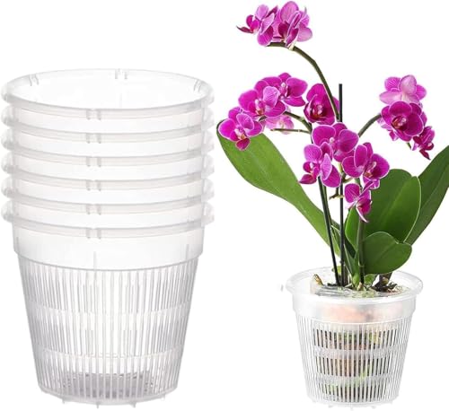 Yeehliny 6 Stück Orchideentopf Transparente Orchideentöpfe zum Umtopfen Orchideen Pflanztöpfe mit Schlitzen Kunststoff Atmungsaktiv Anzuchttöpfe Blumentöpfe Umtopftopf für Drinnen und Draußen (11CM) von Yeehliny