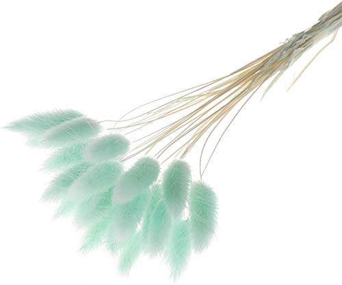 Yeehliny Kunstpflanze mit Stängeln, natürliche getrocknete Blumen, künstlicher Kaninchenschwanz, Gras, Blumenstrauß Hasenschwanz, getrocknete Blumen, Lagurus Ovatus, 20 Stück (Hellblau) von Yeehliny