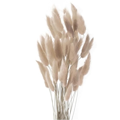 Yeehliny Pflanzenstiele, ländlicher Stil, Hasenschwanz Trockenblumen Deko ewig haltbar Pampasgras & getrocknete Blumen Pampasgras Trockenblumenstrauß Vase Deko,50 Stück (Grauer Kaffee) von Yeehliny