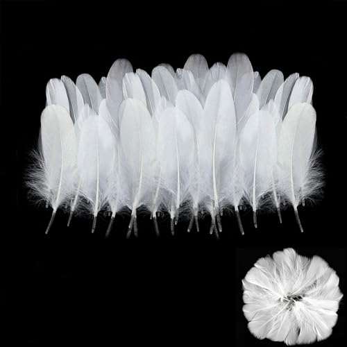 Yeenano Federn Weiße,100 PCS Weiße Federn Gänsefedern für Basteln Natürliche Gefüllt Federn Deko Federn für DIY Traumfänger Hüte Kostüm Millinery Home Party Decor Hochzeits Dekorationen 6-12CM von Yeenano