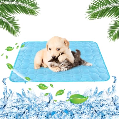 Yegookay Schlafplätze Möbel für Hunde 62×50cm Kühldecke für Katzen Kaninchen Kühlplatte Kühlmatte Hund Selbstkühlend Klein Kühldecke für Hunde Sommer für Auto Zuhause und Draußen (Blau M) von Yegookay