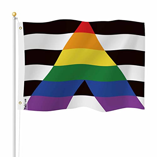 Yekiua Gay Straight Allies Flagge, 90 x 150 cm, LGBT, heterosexuelle Gemeinschaften, Pride, Mix, Schilder, UV-geschützt, Banner für drinnen und draußen, mit Messingösen, lebendige Farben von Yekiua