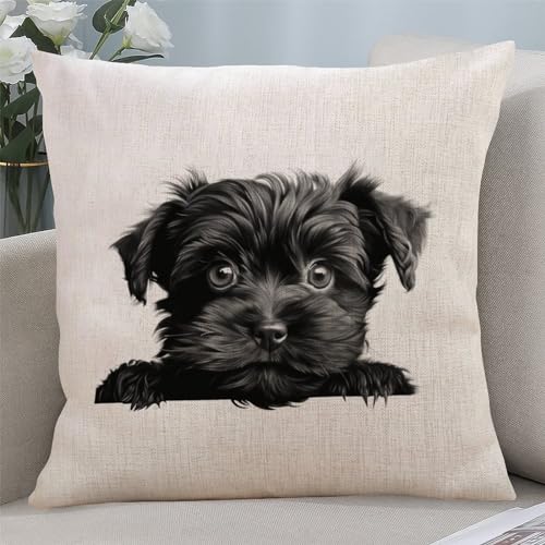 Yelolyio Affenpinscher Kissenbezug mit Reißverschluss, Heimdekoration für Sofa, Wohnzimmer, Schlafzimmer, 55,9 x 55,9 cm Yelolyio Affenpinscher Kissenbezug mit Reißverschluss, Heimdekoration für Sofa, Wohnzimmer, Schlafzimmer, 55,9 x 55,9 cm von Yelolyio