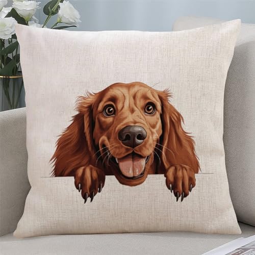 Yelolyio Irish Setter Wurfkissenbezug für Hundeliebhaber, Kissenbezug mit Reißverschluss, Heimdekoration für Sofa, Wohnzimmer, Schlafzimmer, 55,9 x 55,9 cm Yelolyio Irish Setter Wurfkissenbezug für Hundeliebhaber, Kissenbezug mit Reißverschluss, Heimdekoration für Sofa, Wohnzimmer, Schlafzimmer, 55,9 x 55,9 cm von Yelolyio