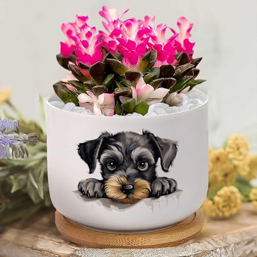 Yelolyio Miniatur-Schnauzer-Blumentopf, Geschenk, Blumentöpfe, individueller Sukkulentententopf, personalisierbarer kleiner Blumentopf für Oma, Mutter, Oma von Yelolyio