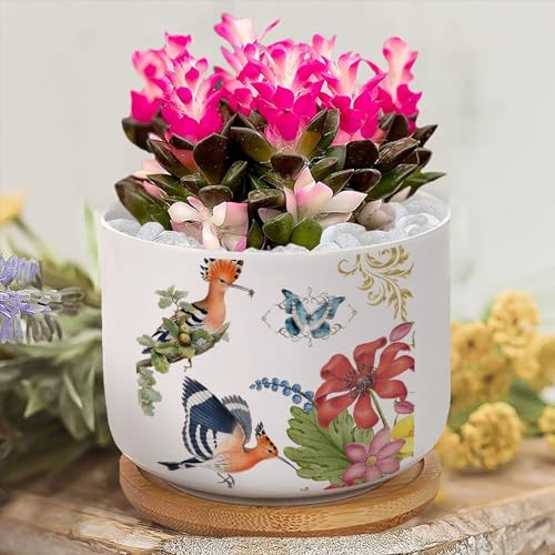 Yelolyio Pflanzgefäße aus Keramik mit antiken Vögeln und Schmetterlingen, runde Blumentöpfe mit Ablauflöchern und Bambus-Tablett, Pflanztopf für Innen- und Außenbereich, Hauseinweihungsgeschenk Yelolyio Pflanzgefäße aus Keramik mit antiken Vögeln und Schmetterlingen, runde Blumentöpfe mit Ablauflöchern und Bambus-Tablett, Pflanztopf für Innen- und Außenbereich, Hauseinweihungsgeschenk von Yelolyio