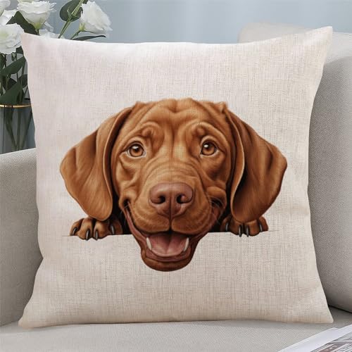 Yelolyio Wirehaired Vizsla Wurfkissenbezug für Hundeliebhaber, Kissenbezug mit Reißverschluss, Heimdekoration für Sofa, Wohnzimmer, Schlafzimmer, 45,7 x 45,7 cm Yelolyio Wirehaired Vizsla Wurfkissenbezug für Hundeliebhaber, Kissenbezug mit Reißverschluss, Heimdekoration für Sofa, Wohnzimmer, Schlafzimmer, 45,7 x 45,7 cm von Yelolyio