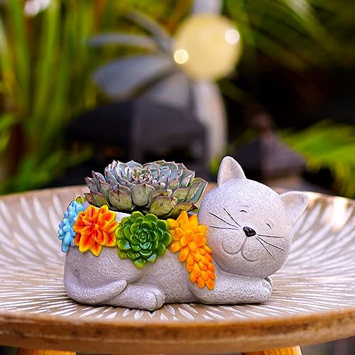 Yeomoo Katzen Garten Klein Blumentopf Draussen Pflanzkübel - Kawaii Harz Katze Blumentöpfe Sukkulente Blumentöpfe Pflanztopf mit Ablaufloch Gartendeko für Draußen Geschenke für Frauen Zimmer Deko von Yeomoo